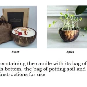 Cotton Flower Candle